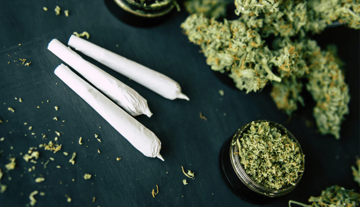 Tips for Purchasing Delta 8 Flower Price and Value