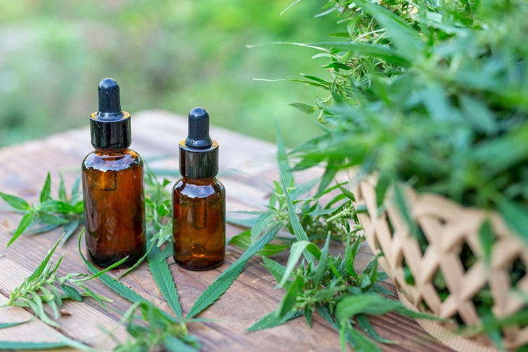 Let’s talk about CBD in cosmetics and its magical properties for facial and body beauty