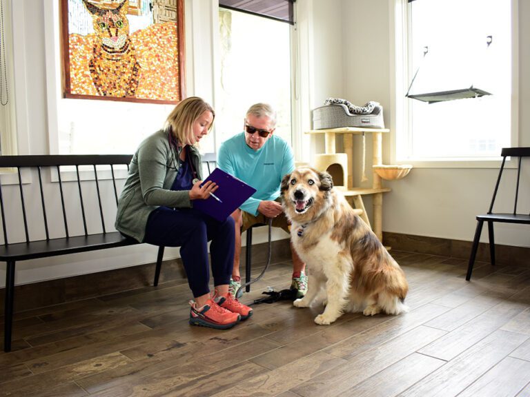 The Importance of Pre-Surgical Consultations: A Guide for Pet Owners in Kitchener