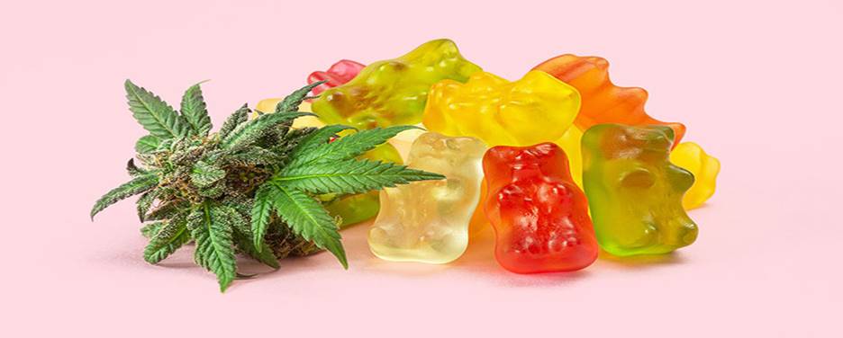 Important Things to Know Before Consuming Delta 9 Gummies